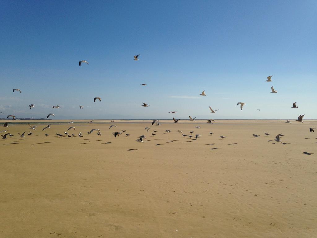 Rural Tarifa Beach Las Cabanas Zewnętrze zdjęcie